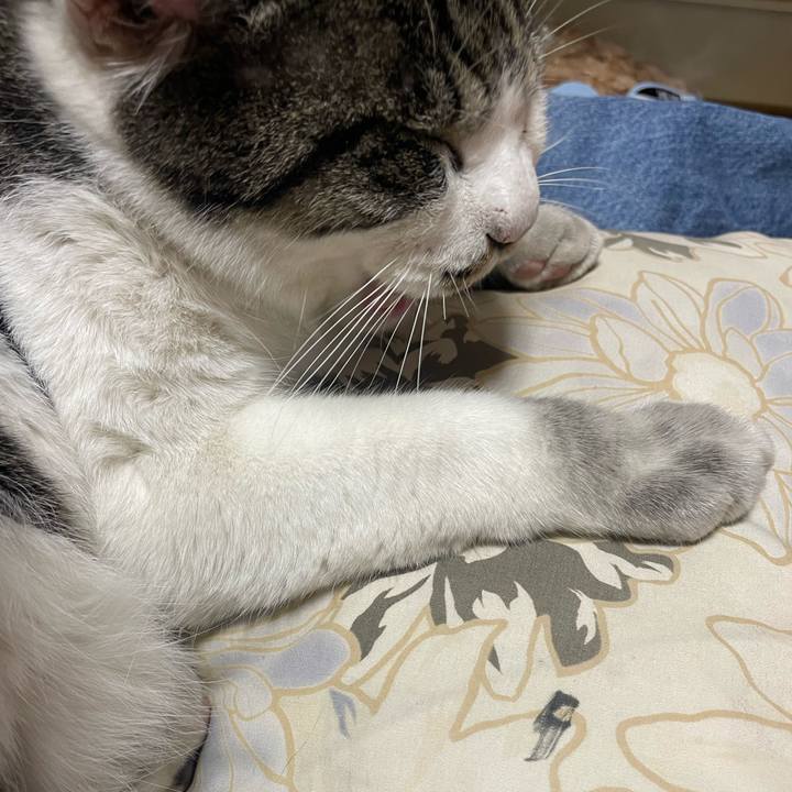 Ec59ec20 b434 4b80 8b27 5b868ef8e09a 1702114316111