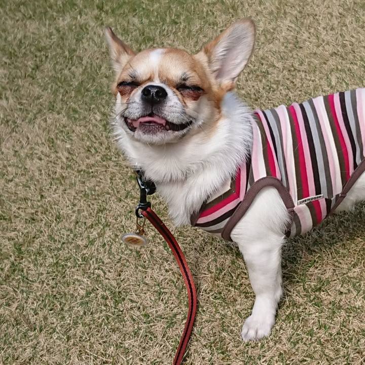 Ec5a687f bed2 4285 be1c d1c0a0d6487f 1553910567358