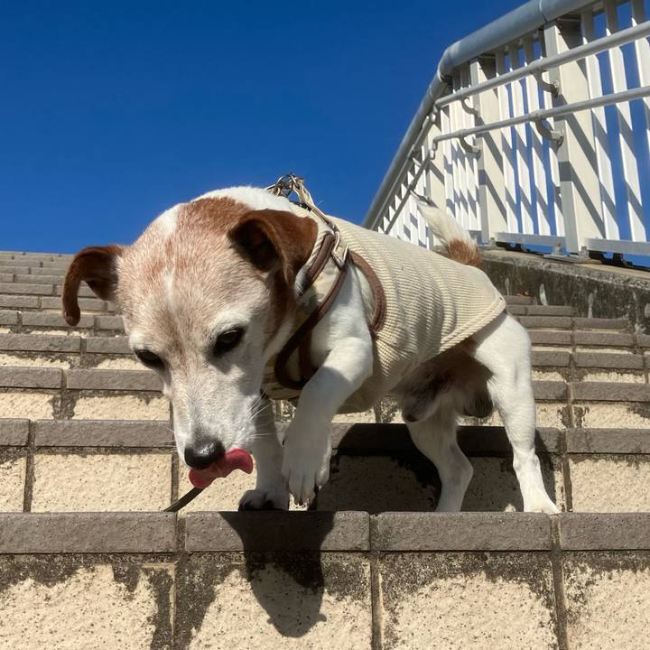 Ec5a6c2d 40ab 406a b59a 741e8fc96a5e 1763422658770