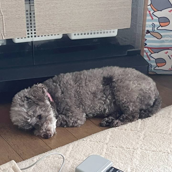 Ec5a898c bac0 464c 8983 2841eed24c82 1723080238510