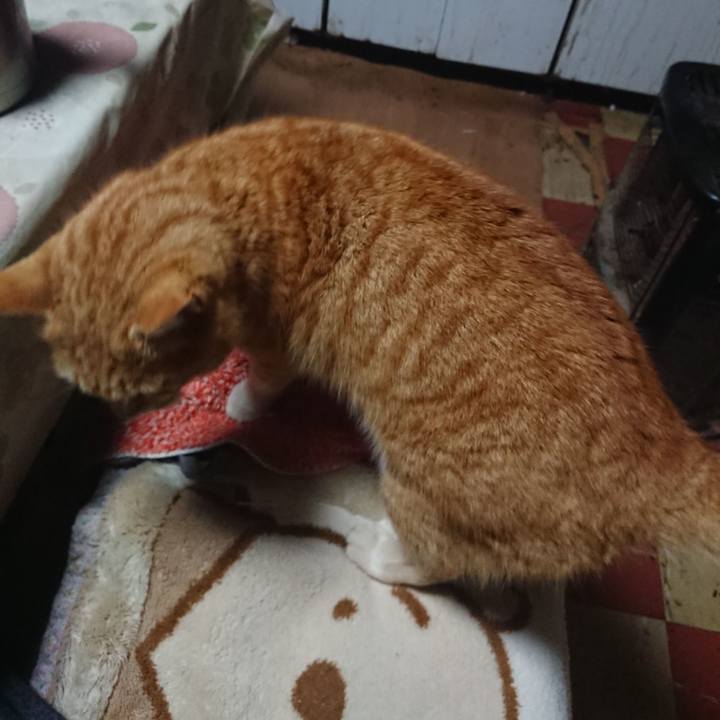 Ec5aa4ae 4a86 4688 a3fa 89fc99f13390 1580850359495