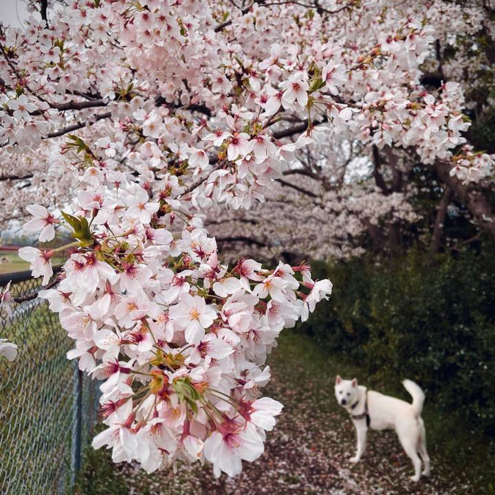 Ec5aa4ce a181 47e0 a2cb b01abc1fe2a6 1712278742771