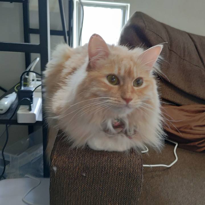 Ec5aa5fa a938 4949 a19b 25e48827e231 1687743309879