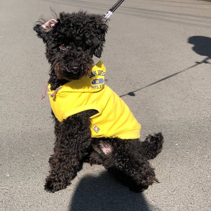 Ec5ad093 1340 4b68 9ec6 75de1f6f86dd 1520661667550