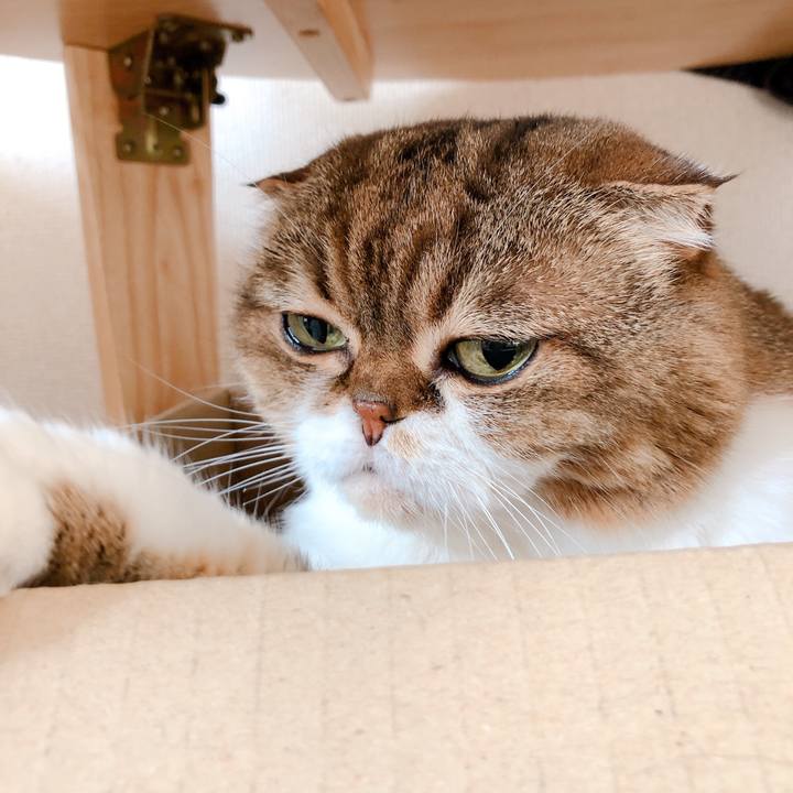 Ec5ad5c7 826f 452f aa92 2d7b3eb543e2 1564697367903