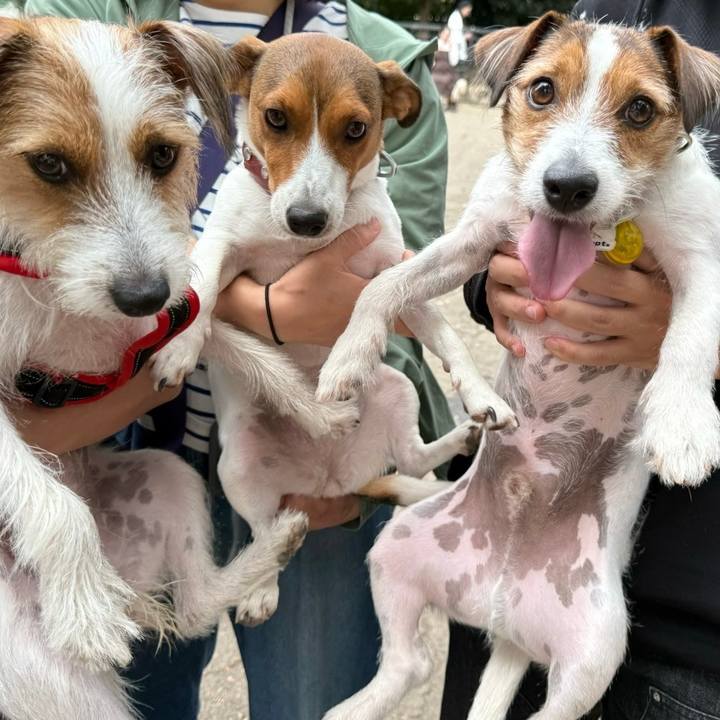 Ec5af17c fd4d 40c1 8226 db32b91a2825 1730017403261