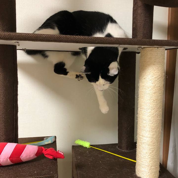 Ec5b0779 b239 45cf 9b84 338cc6698411 1546533787541