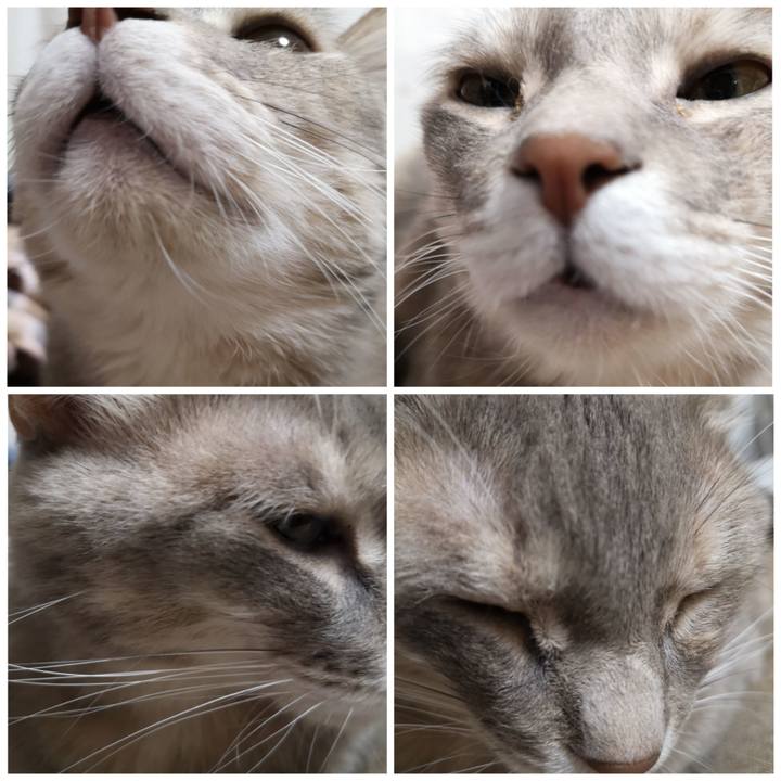 Ec5b27e1 0dda 4528 8edc c833079edc89 1581207001653