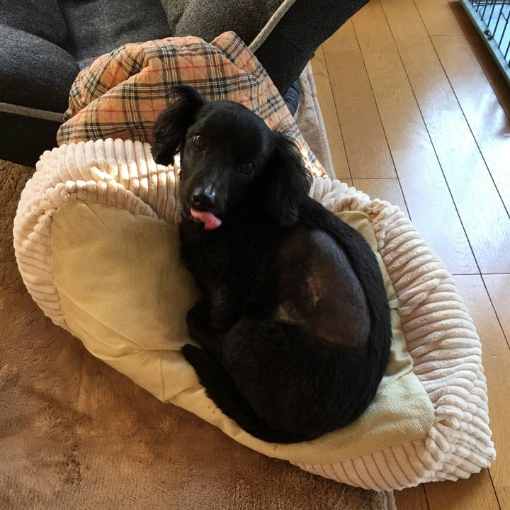 Ec5b3f16 b6e1 4201 a6eb c19260431202 1509403504690