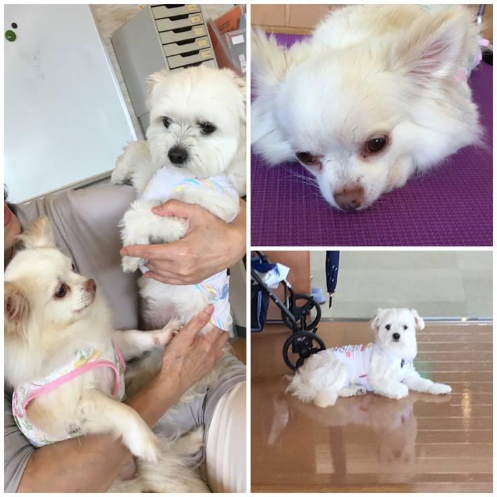 Ec5b73b0 9a8a 4e26 8e9b d82891178db5 1528700328321