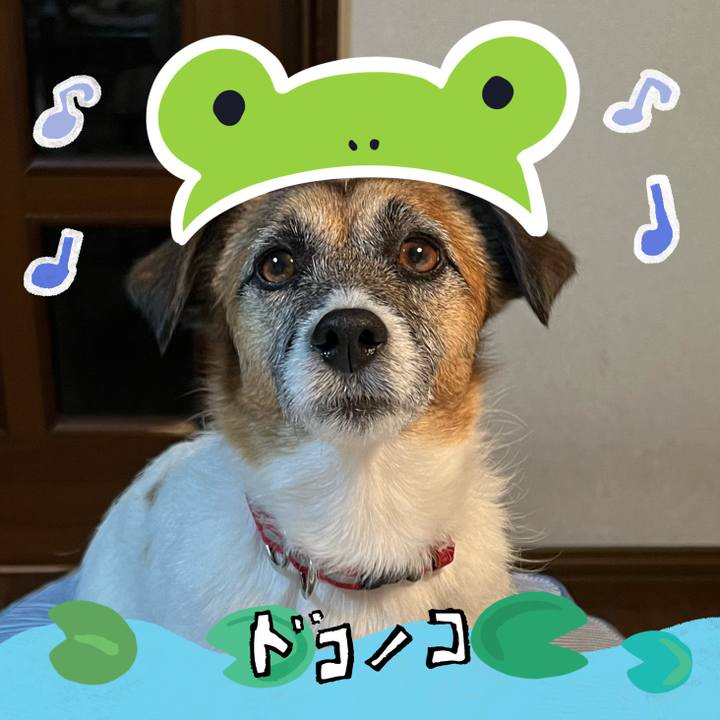 Ec5b7bea d180 4caf a9a2 fc77a0a162e6 1717564068918