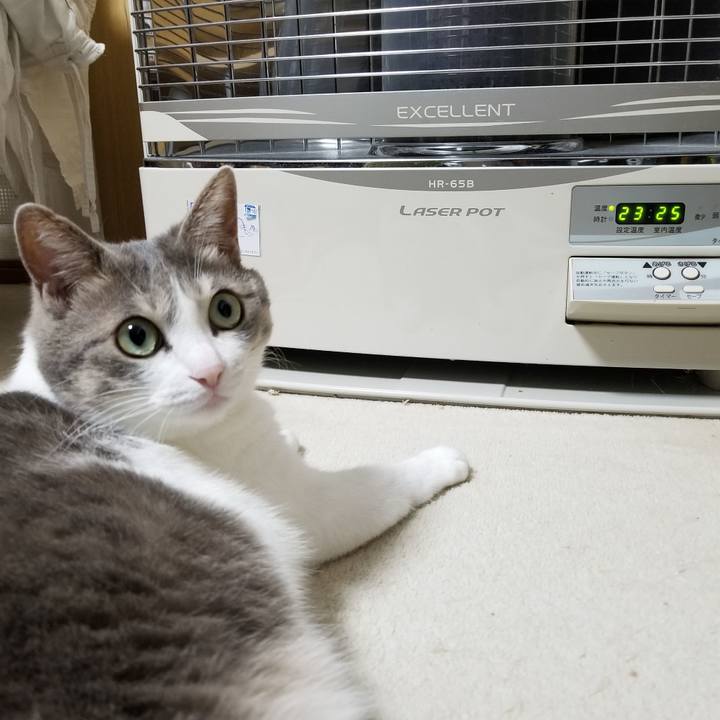 Ec5ba27f 3d68 4fd3 afad 436128cac843 1541675330401