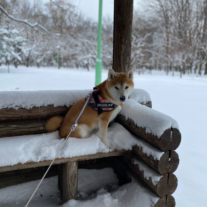 Ec5bc1b7 5a8b 41d8 ac33 83afab634d63 1610073162732