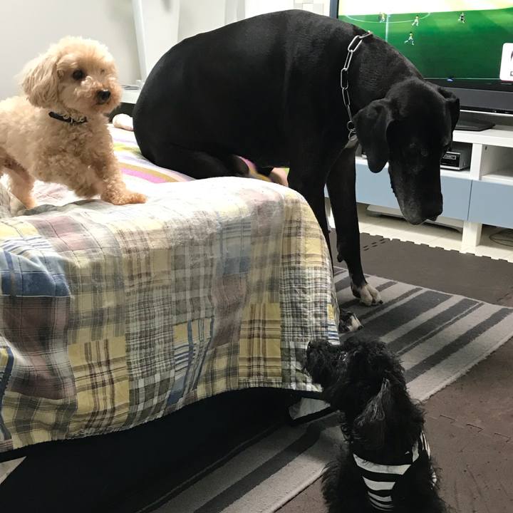 Ec5be65f 3fb0 44a9 a3cc 60427ef75c57 1529448539831