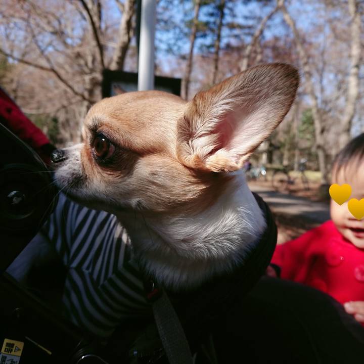 Ec5be8a6 c9f1 4ecc 9ac1 26542d23b56b 1614507382266