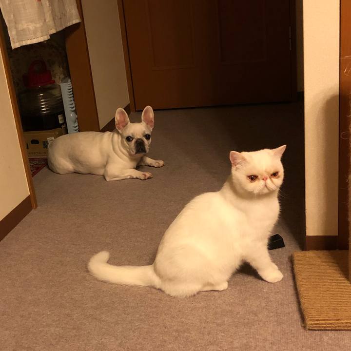 Ec5c0357 011e 4f83 890e a4e4ebeecd5d 1596545749027