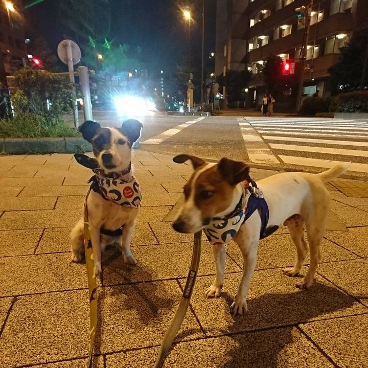 Ec5c1f71 a031 46c9 8928 6fe3d82d5bf1 1532521947101