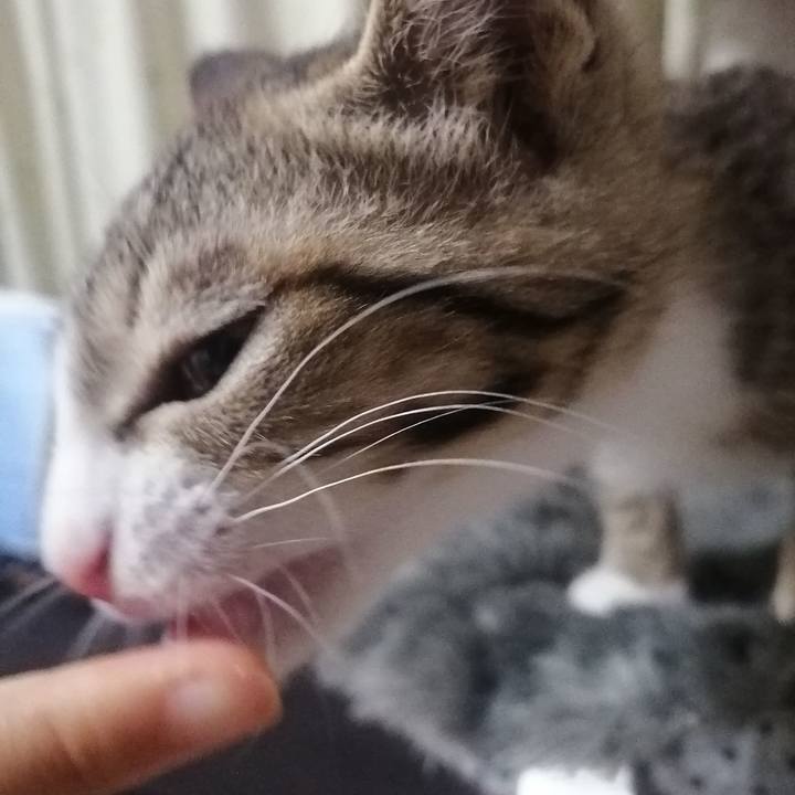 Ec5c2f3b f5d0 4249 b593 87ccb311bb68 1659607432407