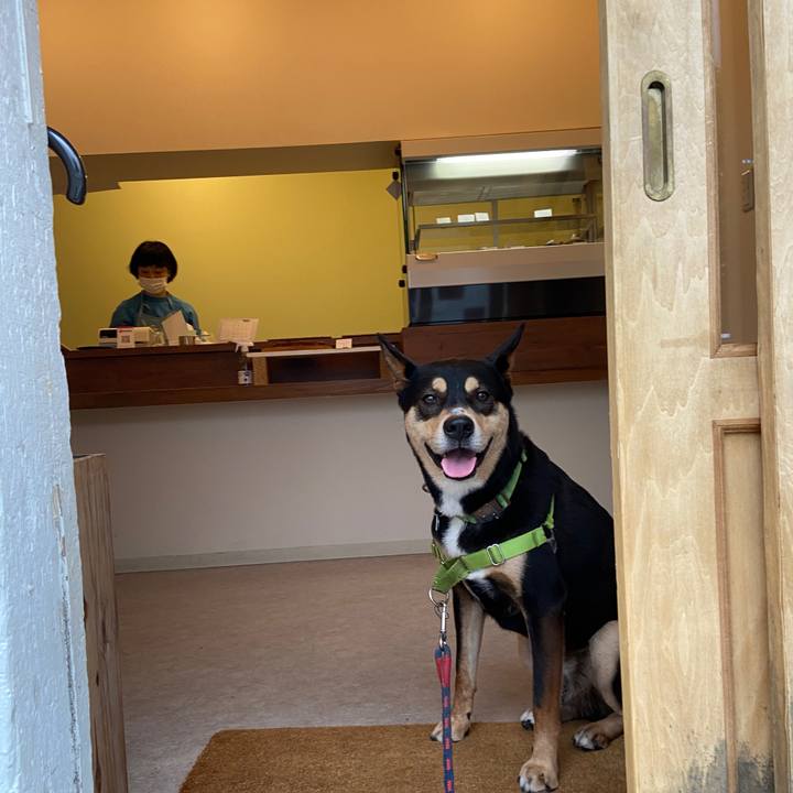 Ec5c4377 cd0a 4cff 8fb1 4516ab3f3981 1624188845119