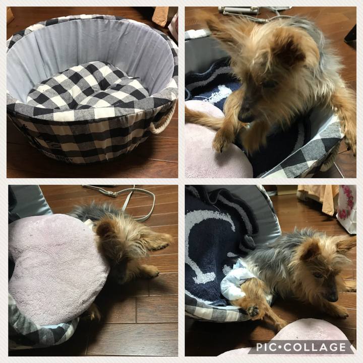 Ec5c45a5 7423 4ebe 8e98 09ff203e5b63 1536736010805