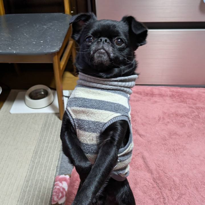 Ec5c6848 23ce 46e3 a273 cbb46fa2259d 1773658312984