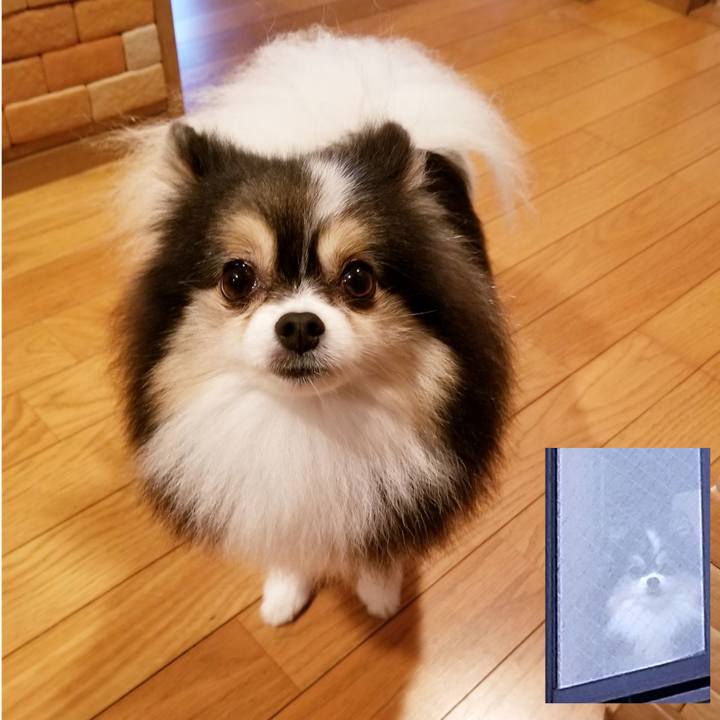 Ec5c8778 d1d3 46ea b905 c19c5509cc33 1570144055706