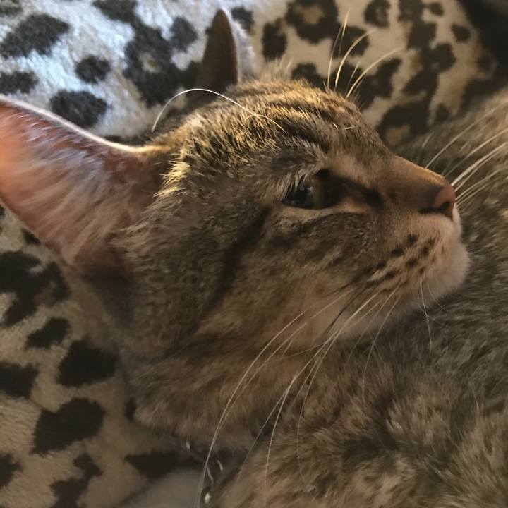 Ec5c8c59 9182 45fa 8307 f5ba34ddead9 1556893258999