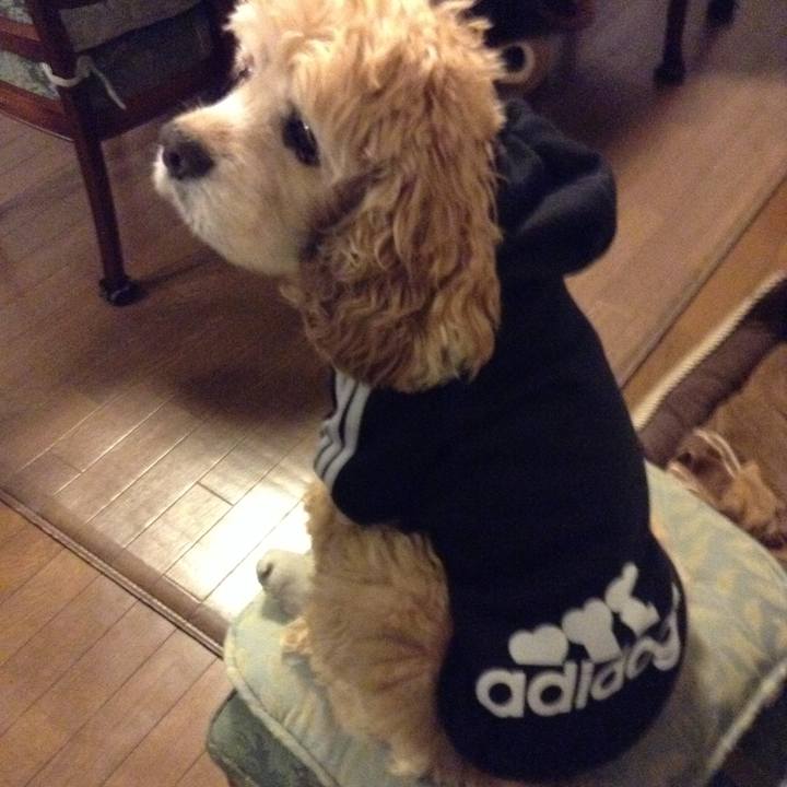 Ec5cb08a c8c2 4f0d b386 fca387dba87a 1769234740078