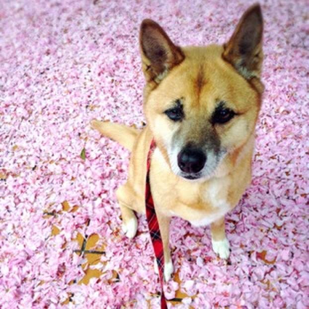 Ec5cb4a9 e47c 4b12 9eb5 39d90c6bf892 1571750167062