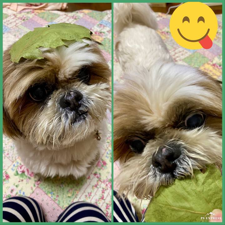 Ec5cd35f ef3f 4f53 af80 14285ed3a8b5 1619695582040