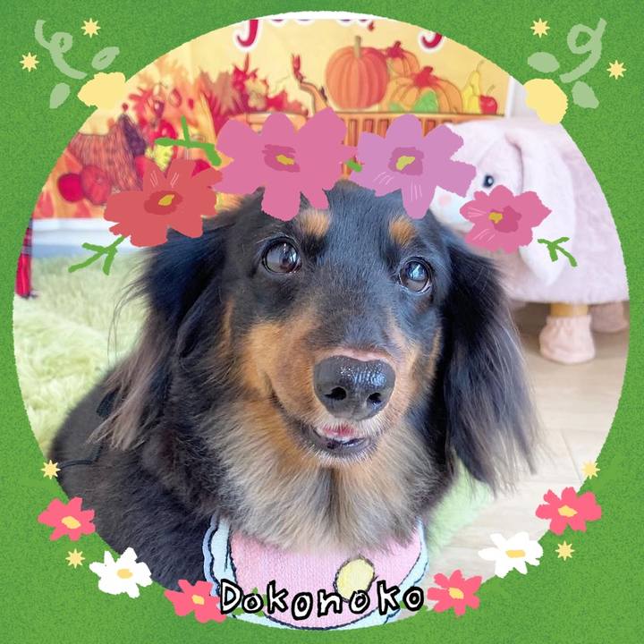 Ec5cfb72 304f 444c 86a8 845fbbada572 1726919250368