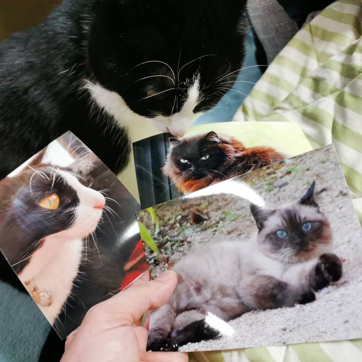 Ec5d0c0c 9fe8 46f5 a1e2 33466b2c3b19 1644552923912