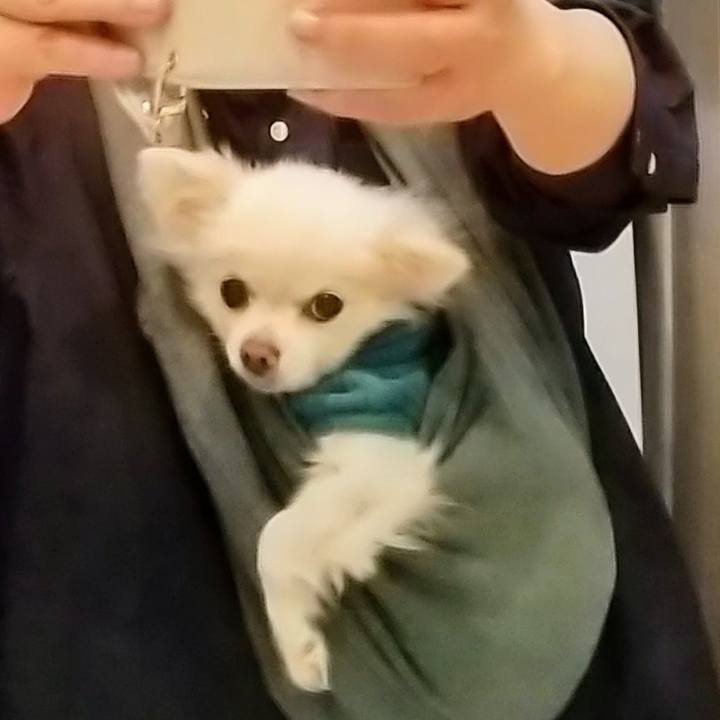 Ec5d46da 7a44 432f a138 e97261f0d75f 1636025994675