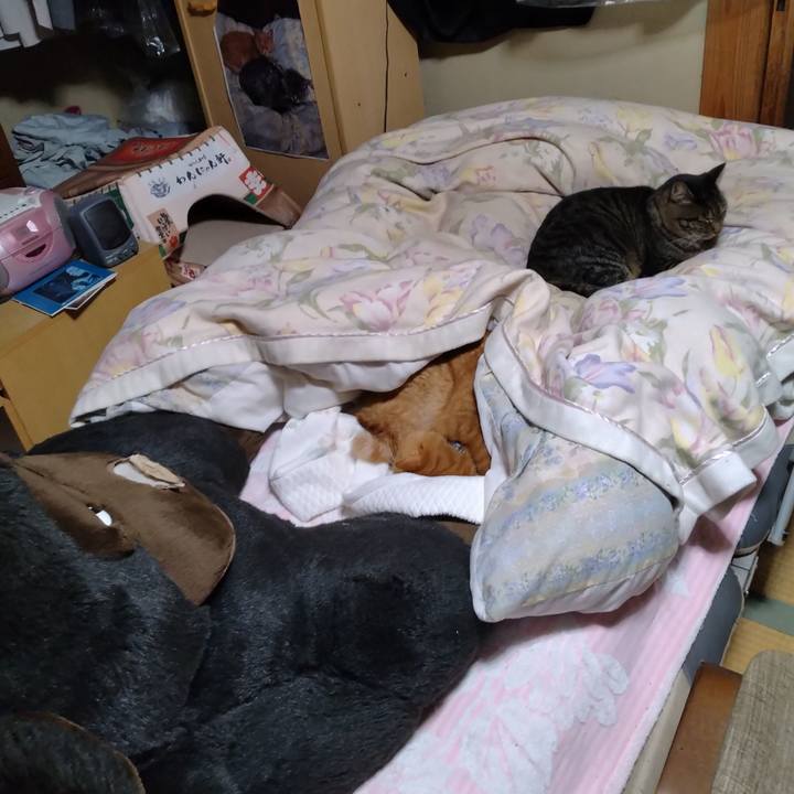 Ec5de068 64e2 4fd0 a05f 2ed5dd15111d 1697801971733