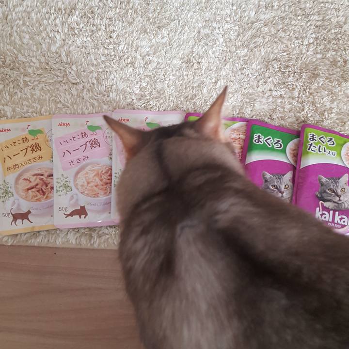 Ec5e39bc ea05 4e7a 89bc 32f3a60763de 1575120955099