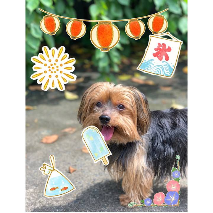 Ec5e6981 302c 4128 8c7b 6558eb47d7eb 1565924493984