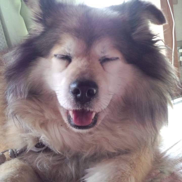 Ec5e786a 7840 4204 b207 99f9281685e4 1604645453995