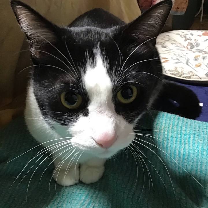 Ec5ed3d9 402c 4e6e bb55 0e0a665c66a6 1739006171055