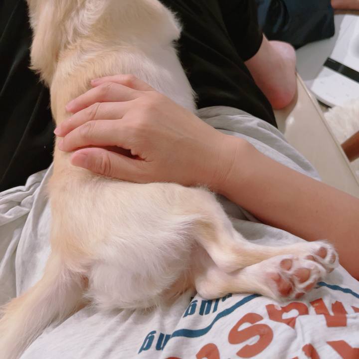 Ec5f0fb9 71aa 4906 a2a1 669097f94c52 1759926652664