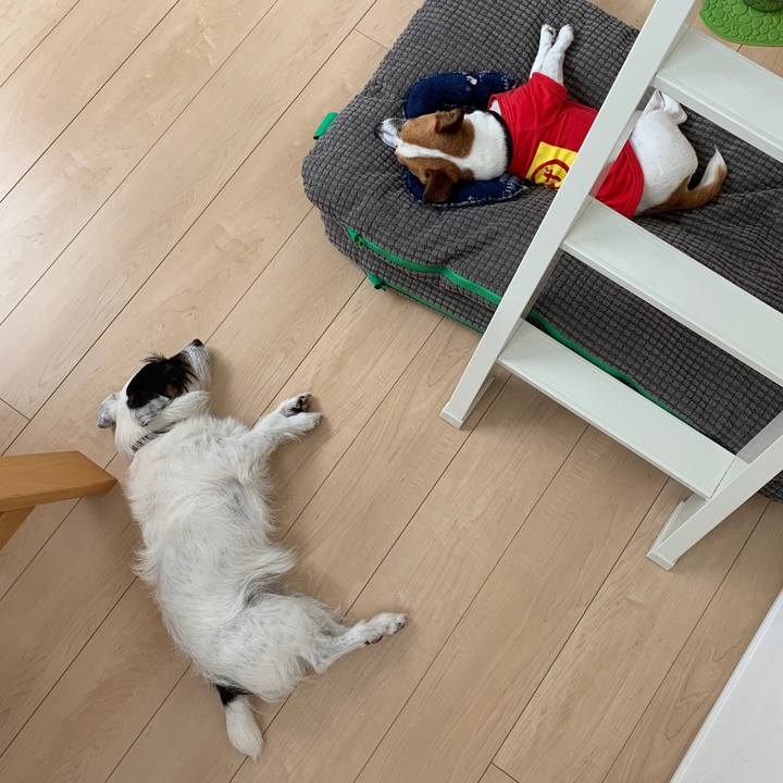 Ec5f1c49 b29f 4af6 ad5d 6a66c30ab854 1562048470542