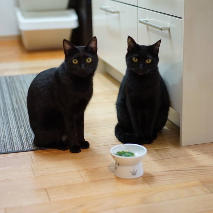 Ec5f2662 d1d2 4e72 a51d e8e38c4d0d6c 1553173184985