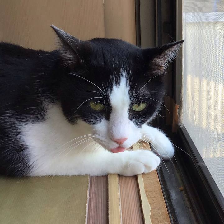 Ec5f4398 4e6e 4cc3 ac51 eaf7db7bbff2 1758104655696