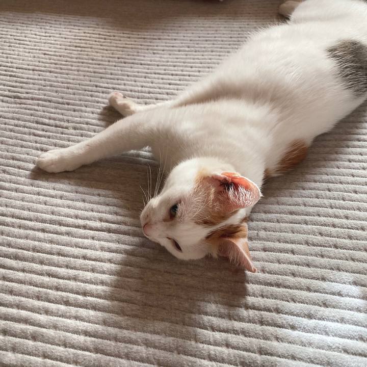 Ec5f7878 a611 4b50 b1ca 7c3ea39fe832 1630069052475