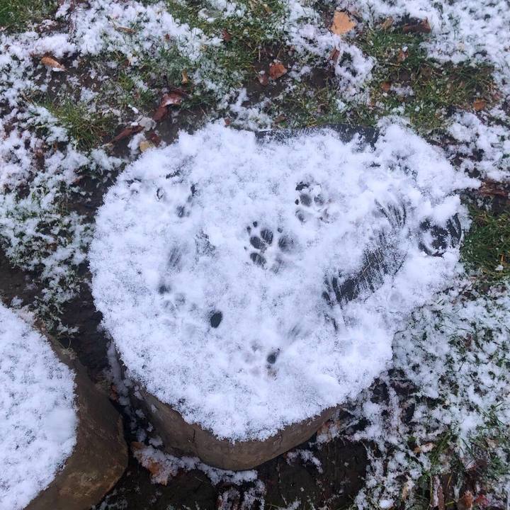 Ec5f7a76 626d 4afe ab14 1984db17c0ef 1542757818471