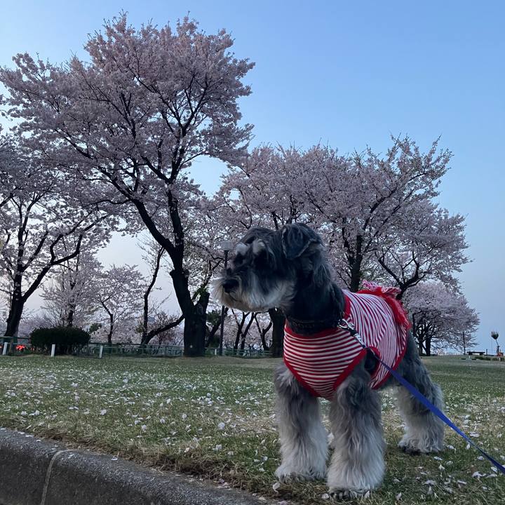 Ec5f7da9 d0da 4b50 918d 5b27abb52672 1713186927775