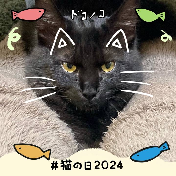 Ec5fa661 3751 42da b632 8b19b31ca616 1708560435006