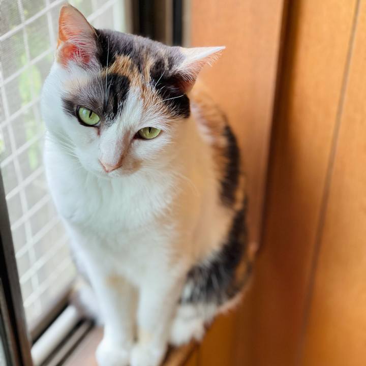 Ec5fc713 47eb 4d07 9a50 3c4a69bc15a9 1625022915251