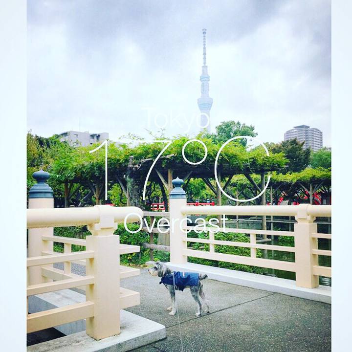 Ec5fdc71 a1bd 4866 b7bd fef510b7837d 1509162158637