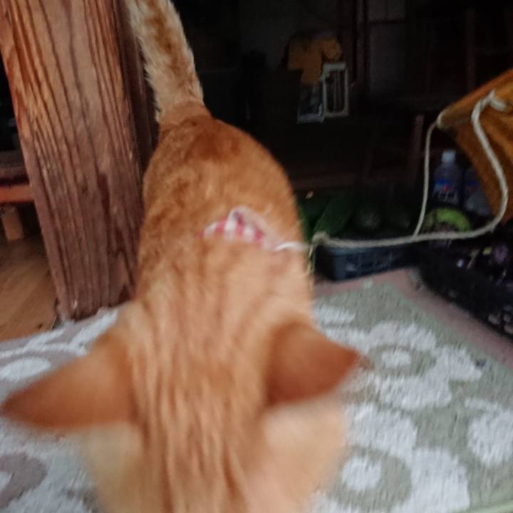 Ec5ff44a 3dd8 488b ace9 7715739fc741 1567414869719