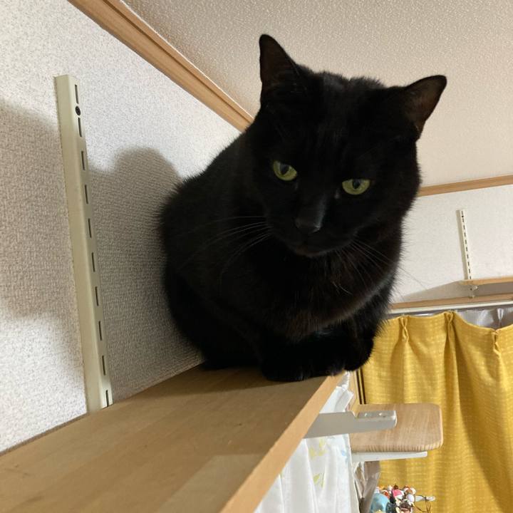 Ec600b64 24c8 456a 88b8 100eeafc79b6 1775267652117